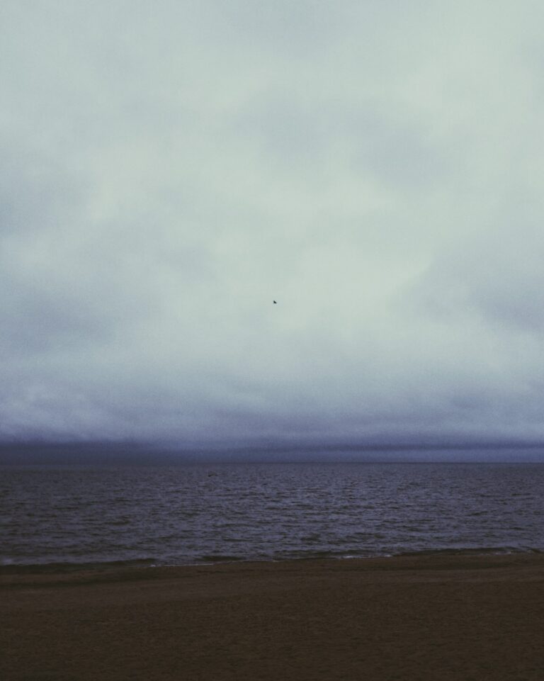 Presence - Horizon II