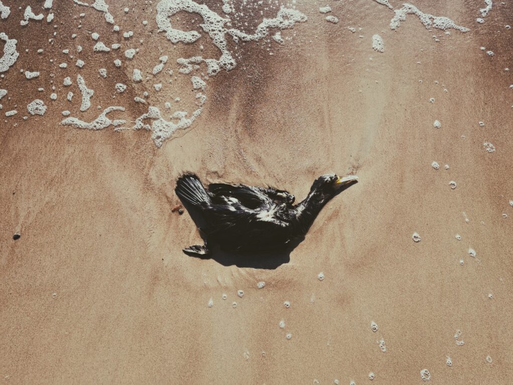 Presence - Wave II