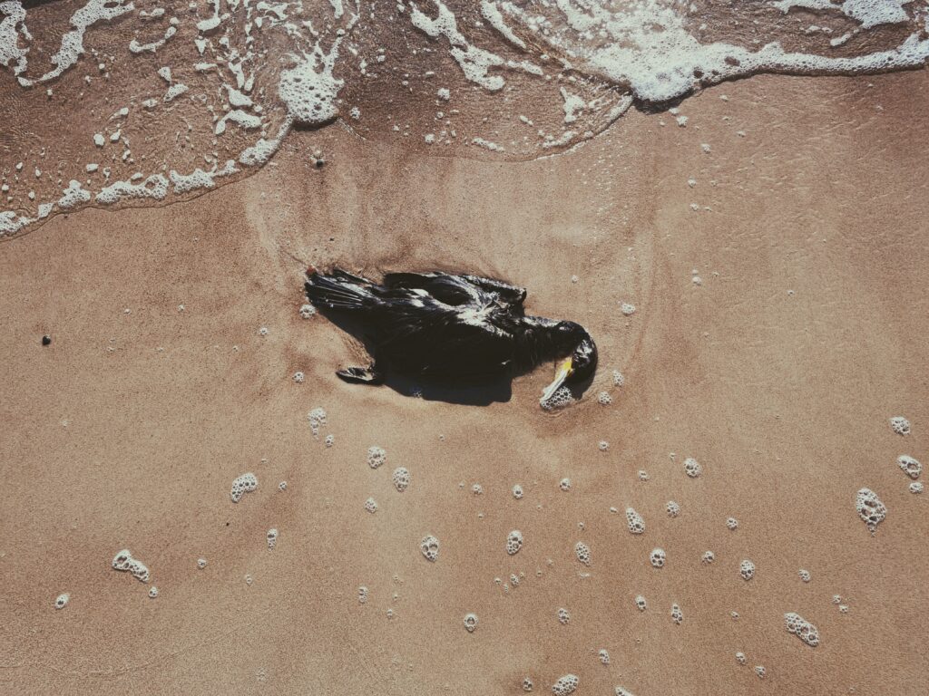 Presence - Wave I