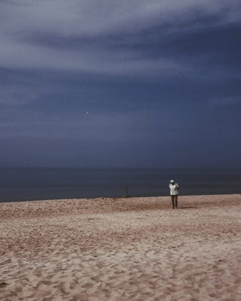 Presence - Horizon I