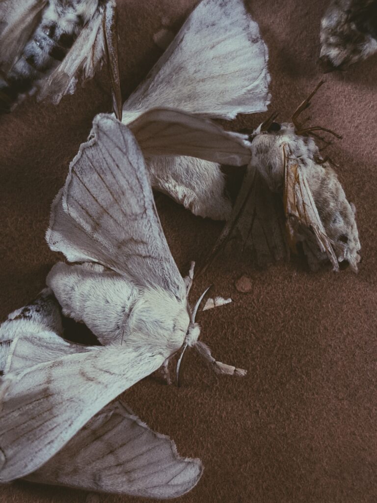 20230308_111755-01