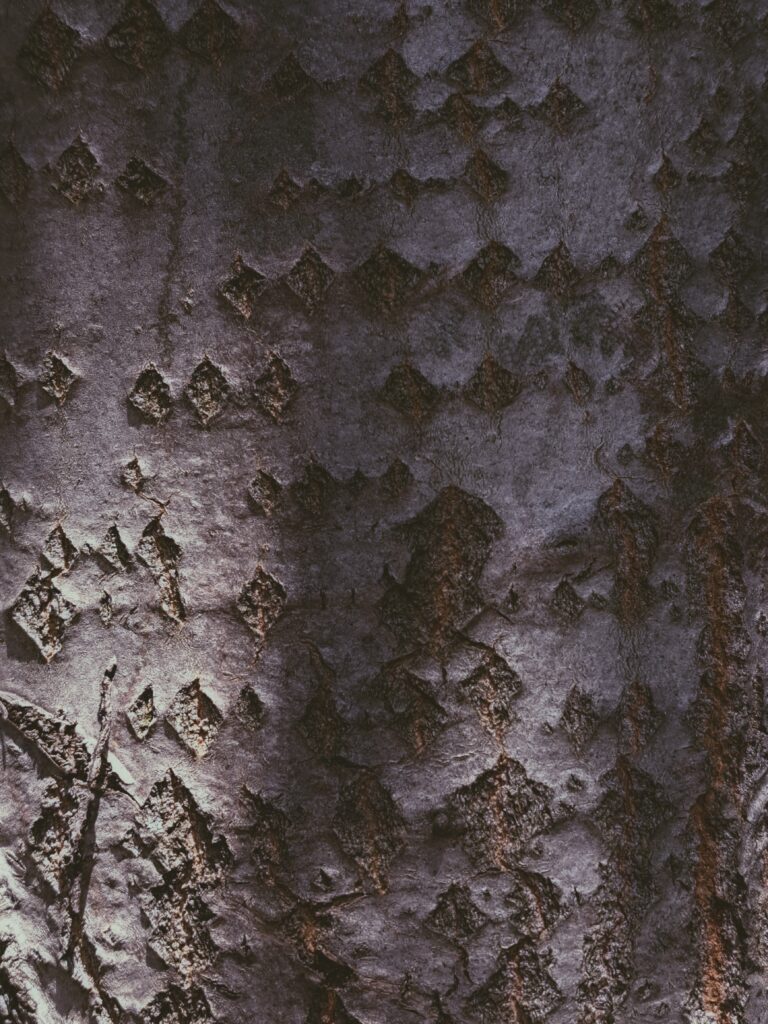 20230712_130158-01