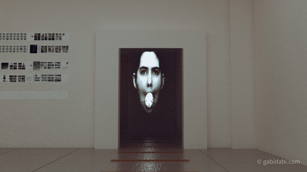 Quarantine Diary - Exhibition model